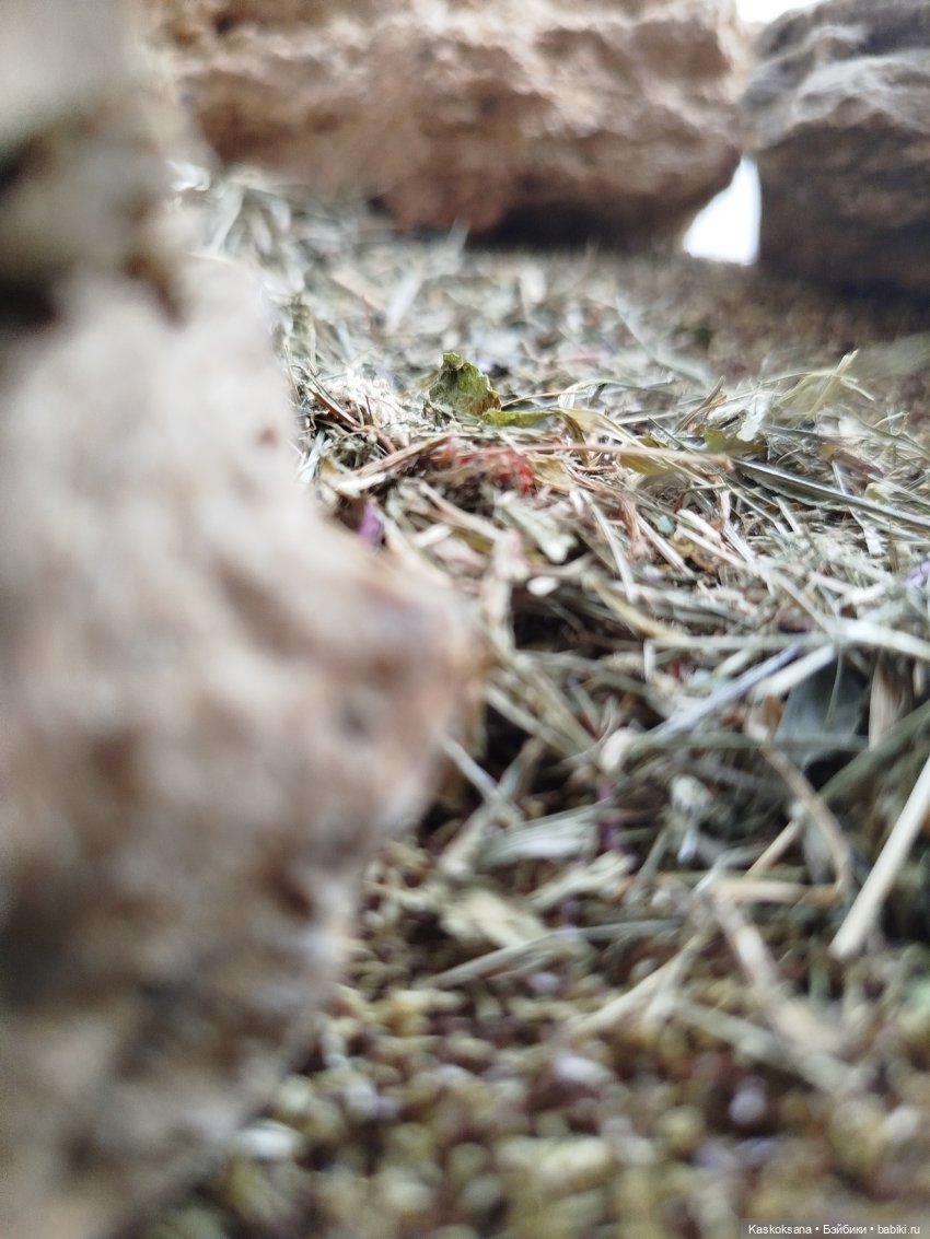 Из тьмы веков. Часть 2 Серия 11 Разговор