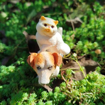 Анонс. Выставка домашних животных