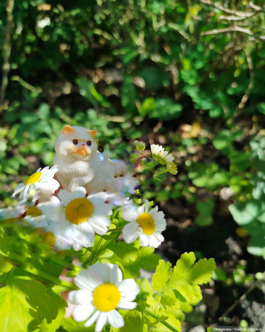 Анонс. Выставка домашних животных (фото 9)