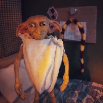 ГП и тайная комната. Добби предупреждает Гарри