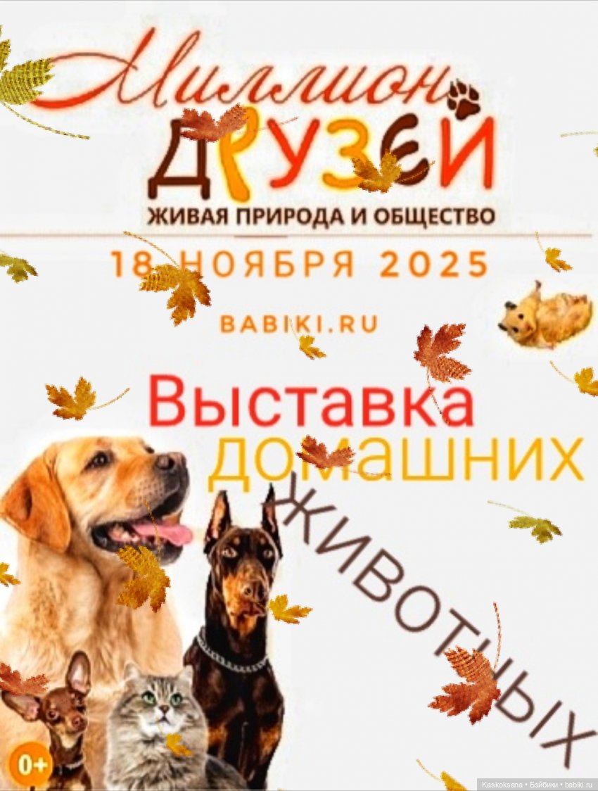 Напоминалка: Выставка домашних животных (фото 2)