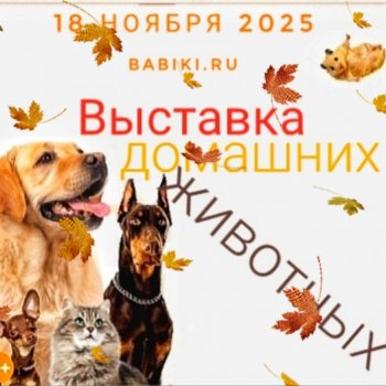 Выставка домашних животных "Миллион друзей"🎉