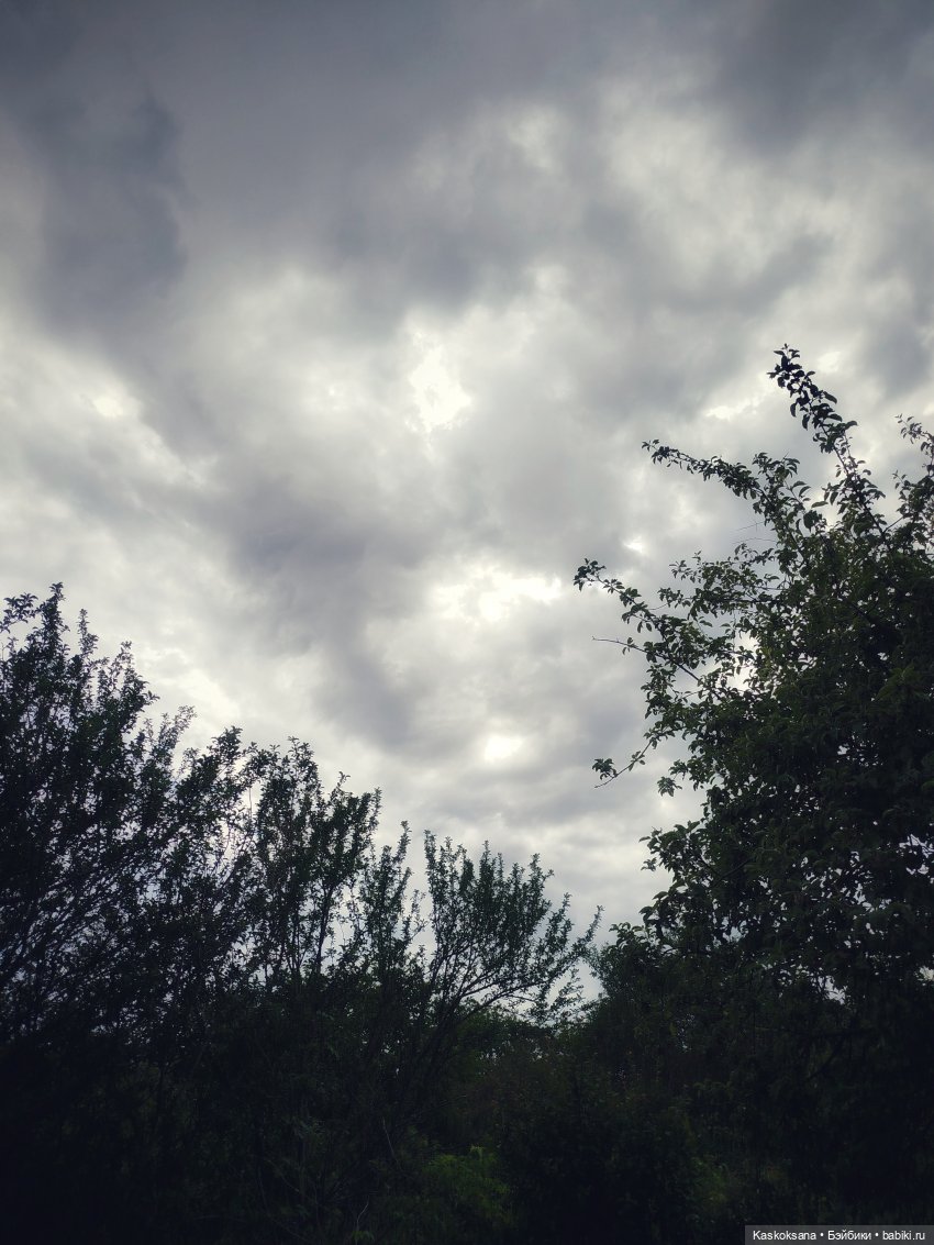 Музфест 2025. PROlife Sound: Невеста полоза