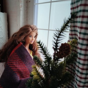 Зимнее утро. Корал