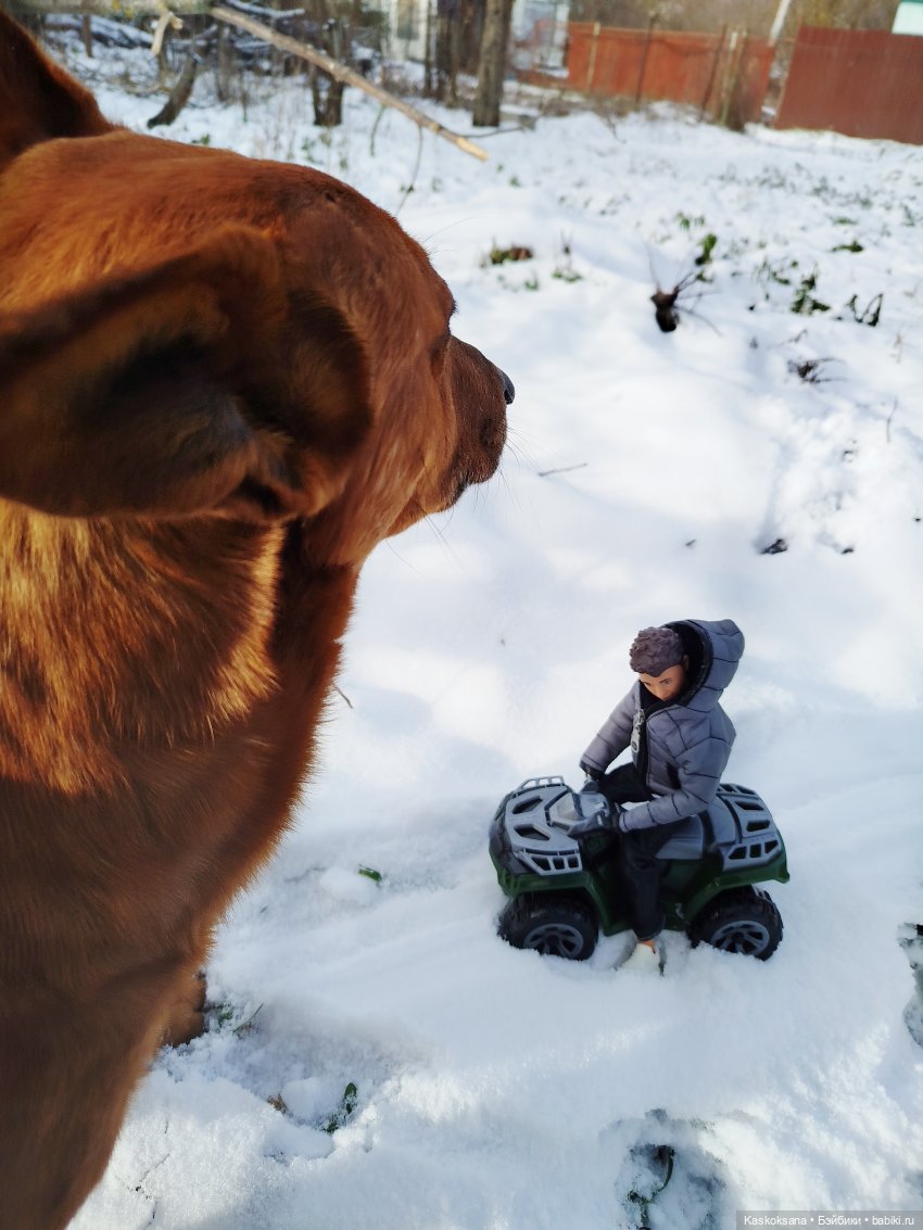 Зимняя прогулка Артема и Алены (фото 7)