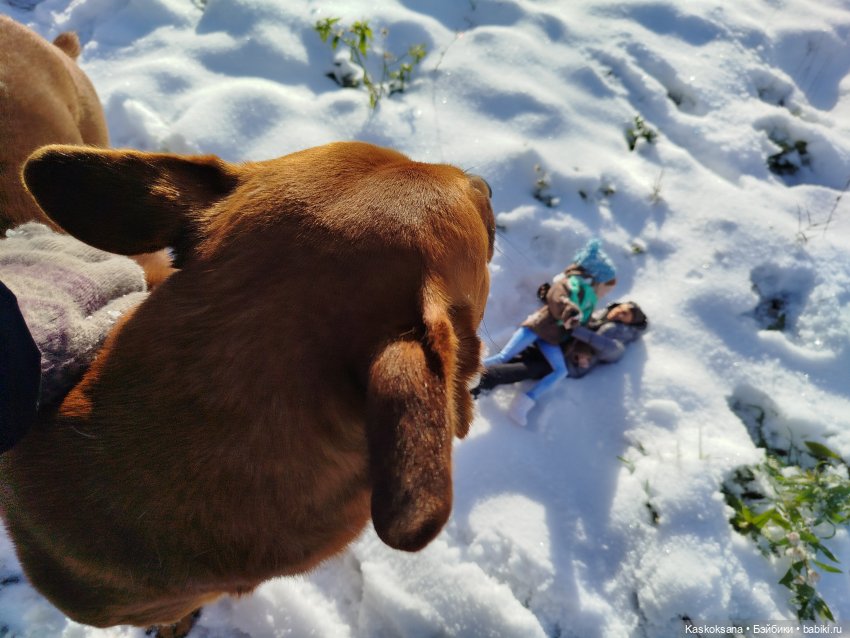 Зимняя прогулка Артема и Алены (фото 6)