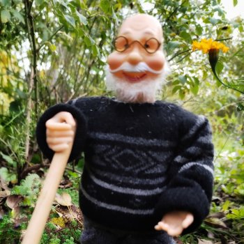 Напоминалка и анкета в клуб "Шикарный возраст"