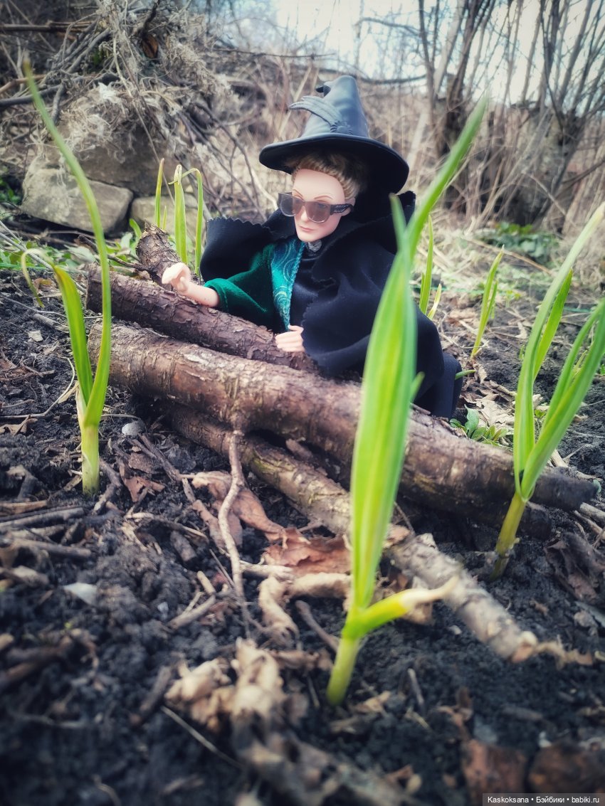 Веселая весна в Хогвартсе: о драках и тыквах