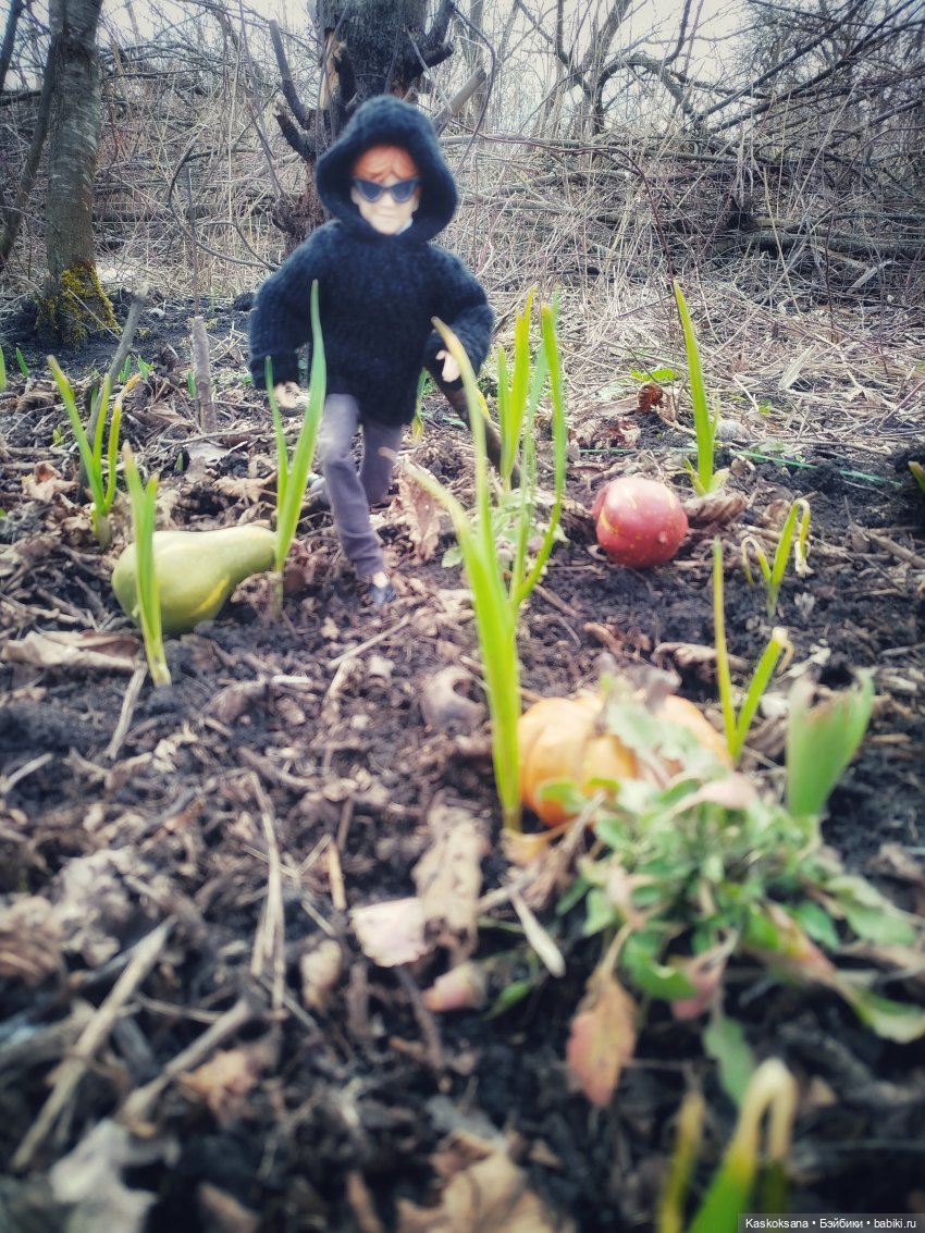 Веселая весна в Хогвартсе: о драках и тыквах