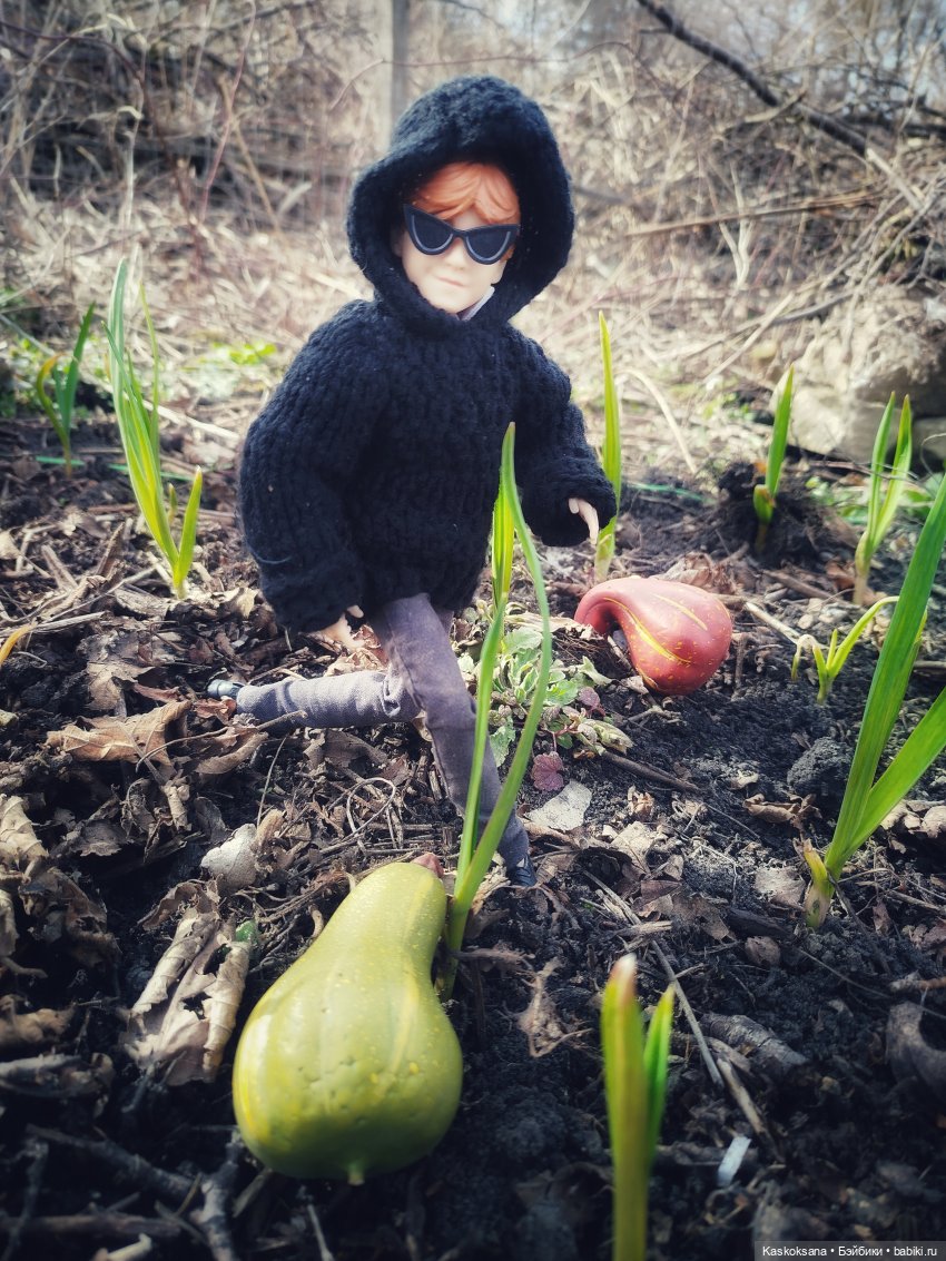 Веселая весна в Хогвартсе: о драках и тыквах