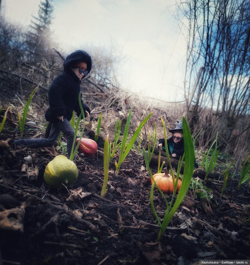 Веселая весна в Хогвартсе: о драках и тыквах (фото 10)