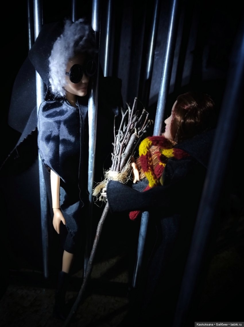 Веселая весна в Хогвартсе: побег из Азкабана, мантия-невидимка и неожиданные встречи (фото 3)