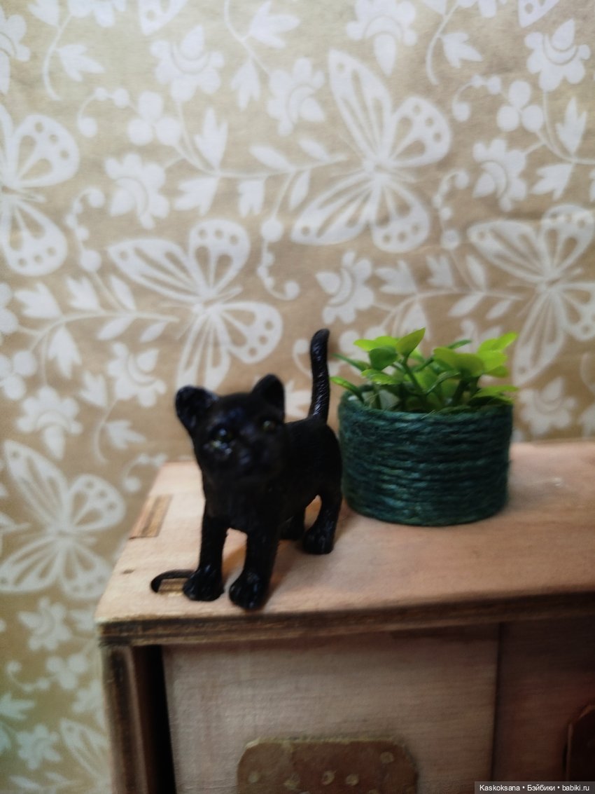 ReБлог Бабы Яги. Эпизод 3 Мой кот (фото 6)