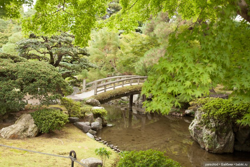 Воспоминания об Японии и о куклах, встреченных там