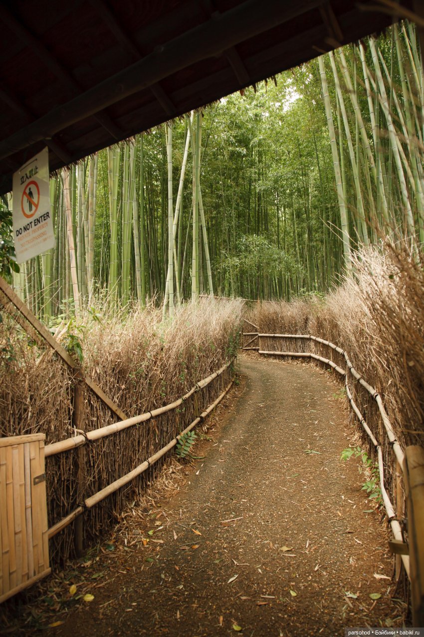 Воспоминания об Японии и о куклах, встреченных там