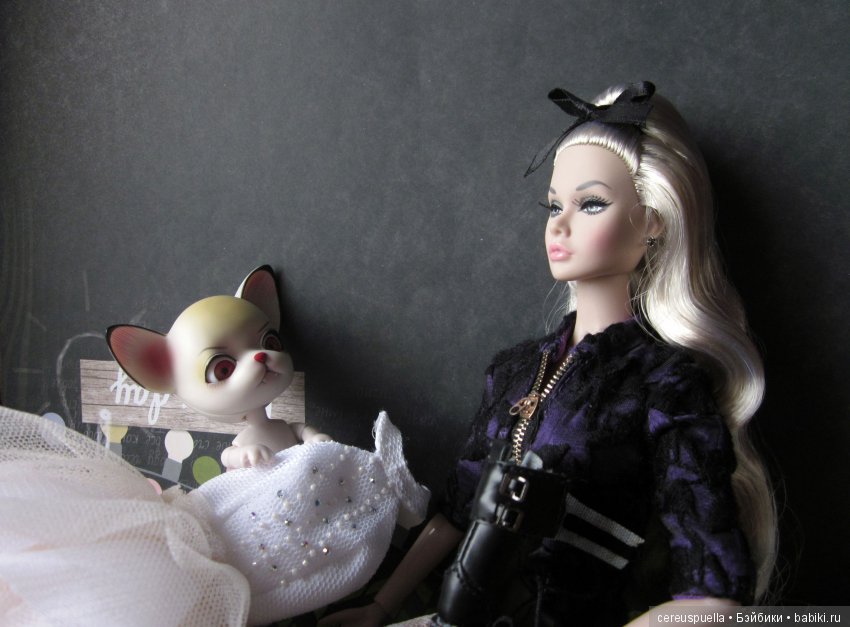 мыш и мисти