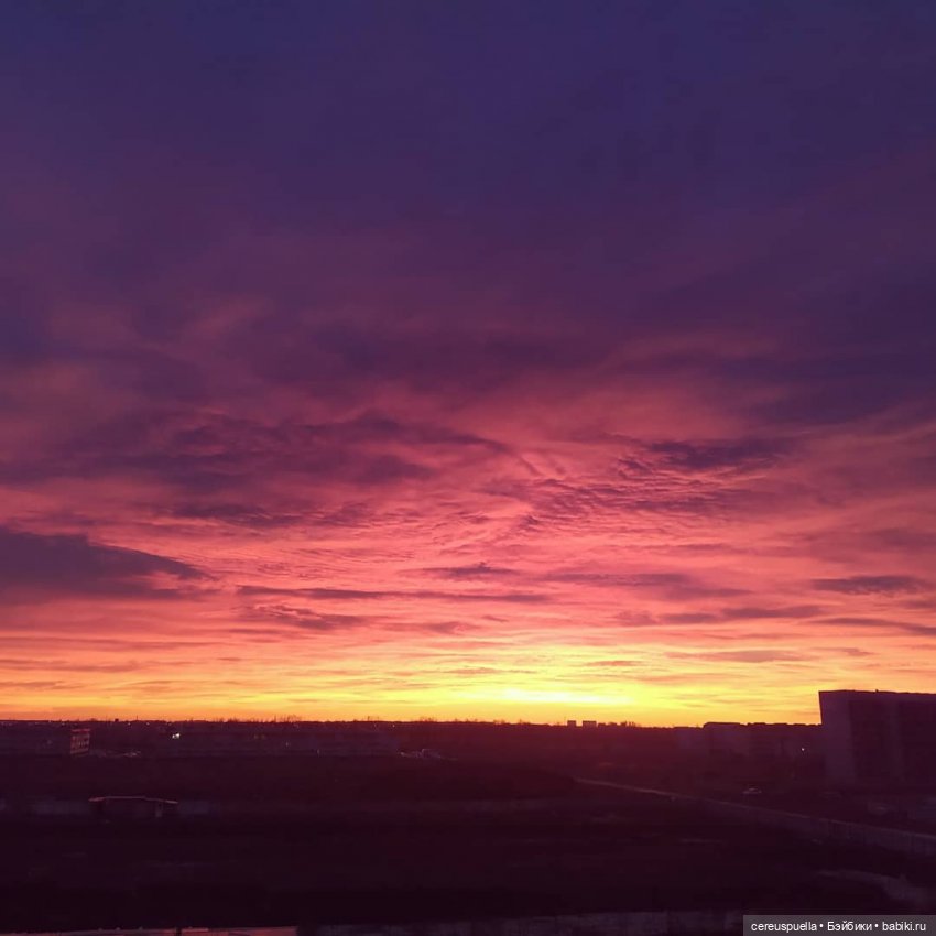 О путешествиях и поисках весны | Бэйбики О путешествиях и поисках весны