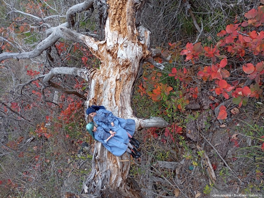 Vollmond. Часть 5: Матильда Ханниган