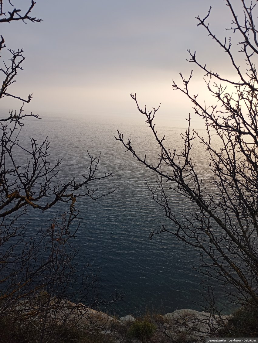 Vollmond. Часть 5: Матильда Ханниган