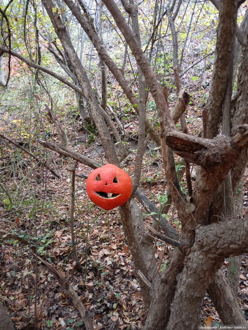 Vollmond. Часть 5: Матильда Ханниган