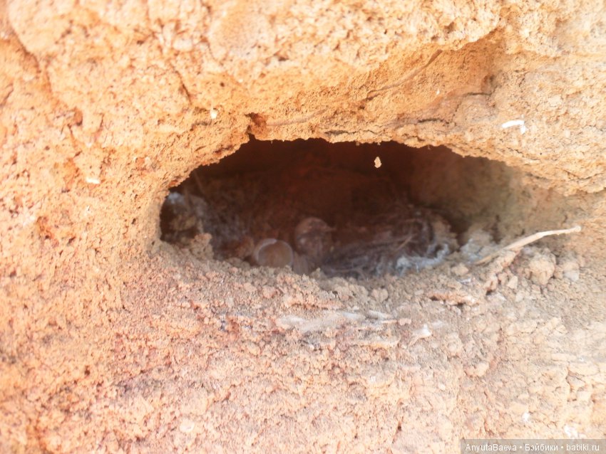 Ура!!! Рыбалочка — Куклы Baboliy (Баболи (фото 7)