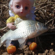 Ура!!! Рыбалочка