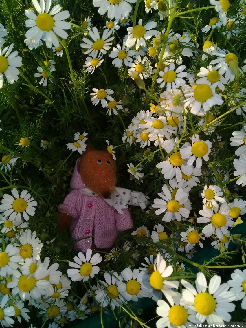 Семейка — Домашние фото авторских игрушек: Тедди (фото 5)