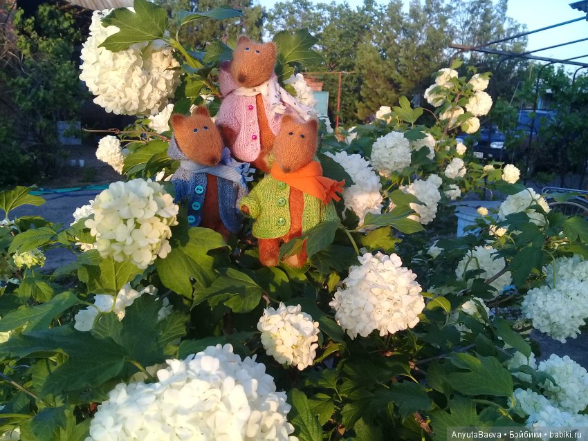 Семейка — Домашние фото авторских игрушек: Тедди (фото 3)