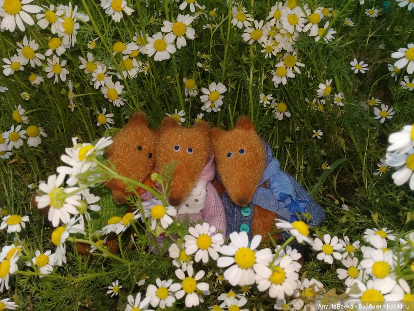 Семейка — Домашние фото авторских игрушек: Тедди (фото 2)
