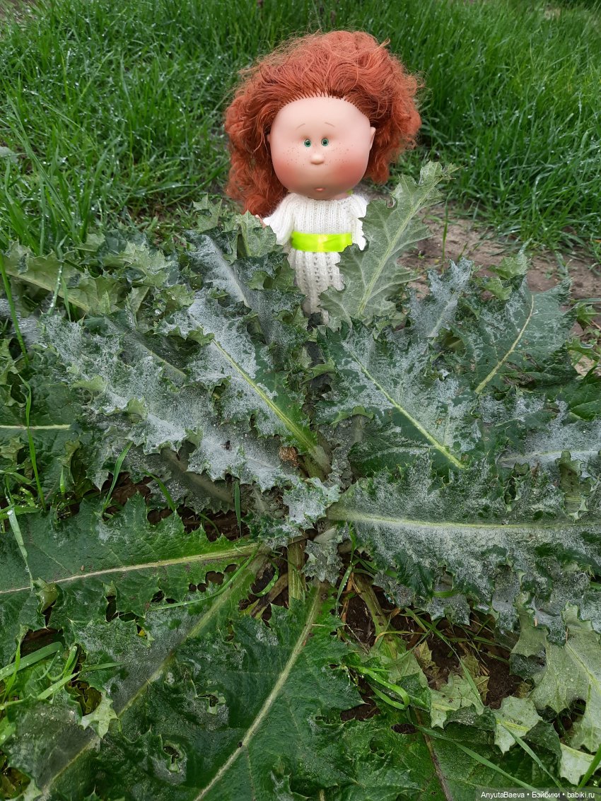 С первым днём "зимы" — Куклы Nines d'Onil (Нинес): Миа (Mia) (фото 3)