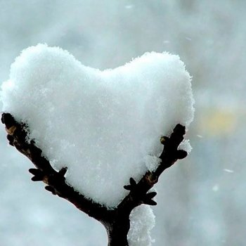 К нам пришла зима! На 3 дня