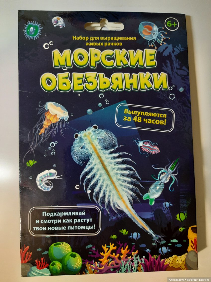 Маруся - " животновод "😁 — Куклы Nines d'Onil (Нинес): Миа (Mia) (фото 2)