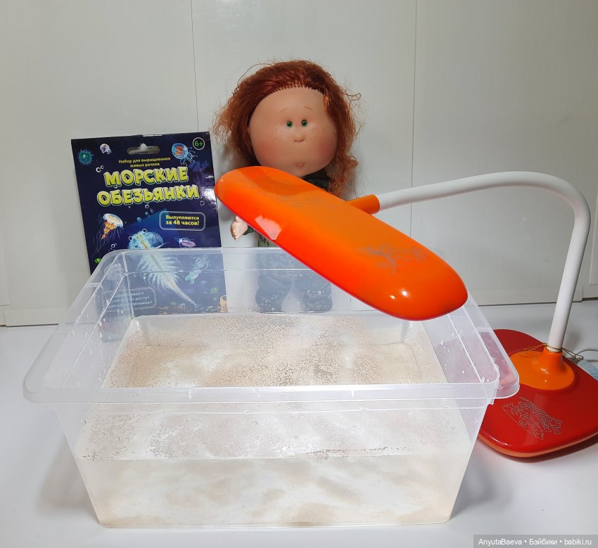 Маруся - " животновод "😁 — Куклы Nines d'Onil (Нинес): Миа (Mia)