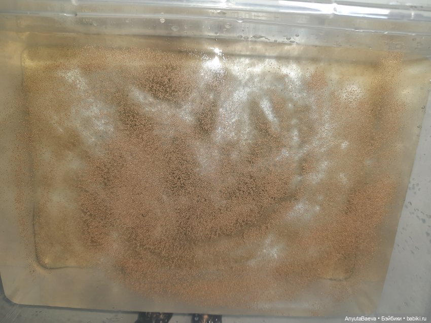 Маруся - " животновод "😁 — Куклы Nines d'Onil (Нинес): Миа (Mia)