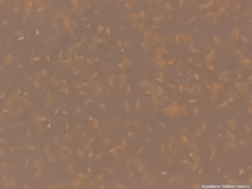 Марусины "обезьянки" — Куклы Nines d'Onil (Нинес): Миа (Mia) (фото 6)