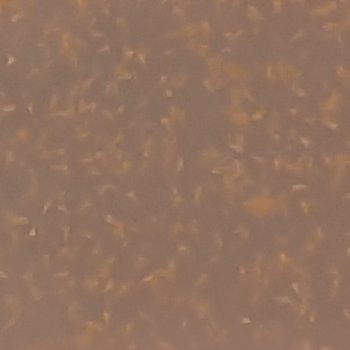 Марусины "обезьянки"