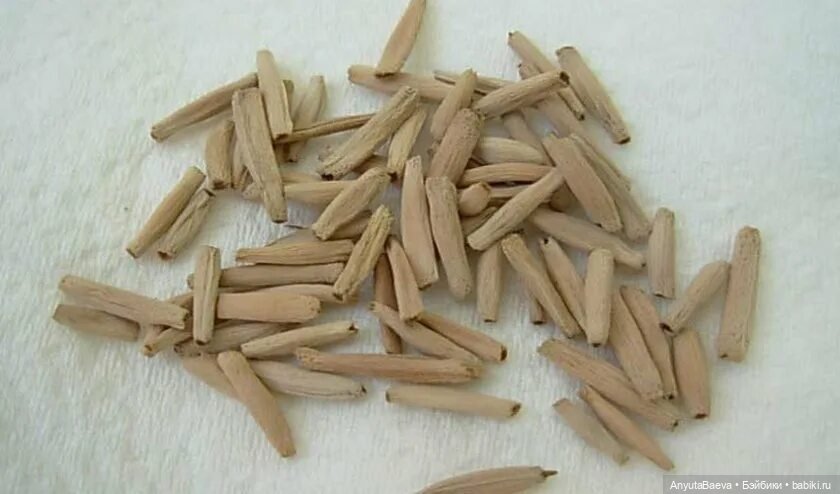 Адениум — Куклы Nines d'Onil (Нинес): Миа (Mia) (фото 3)