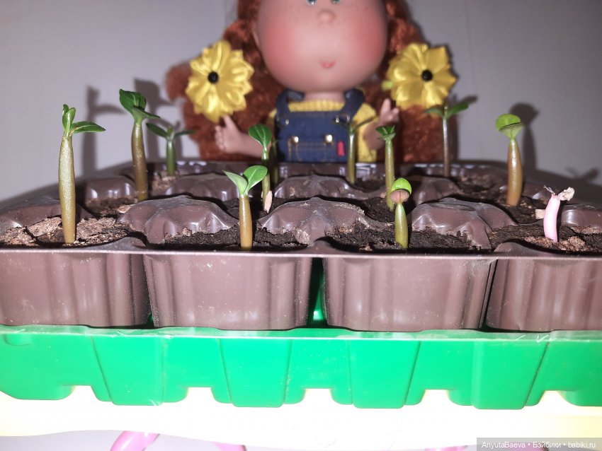 Адениум — Куклы Nines d'Onil (Нинес): Миа (Mia)