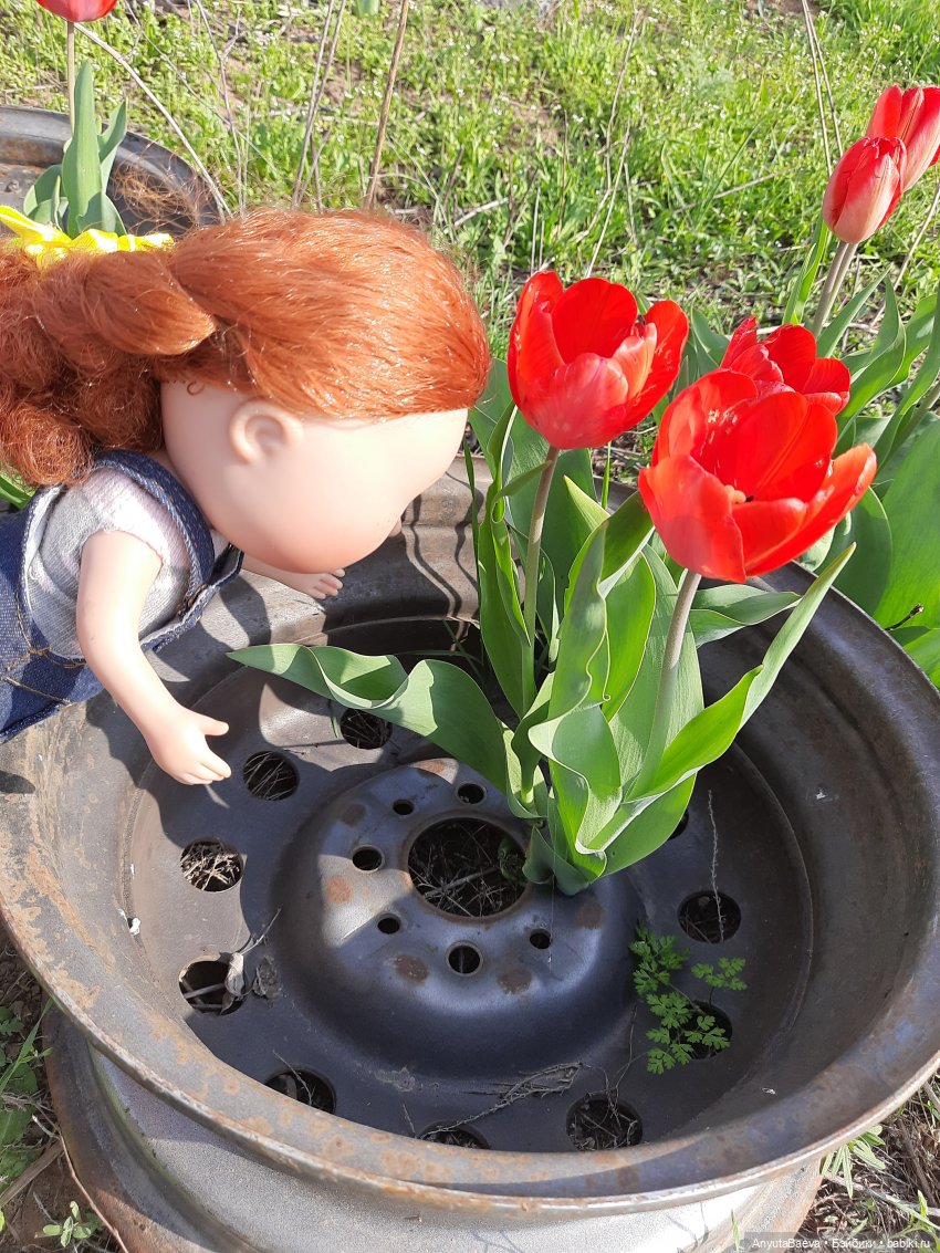 Выходной... если его можно так назвать☺ (фото 2)