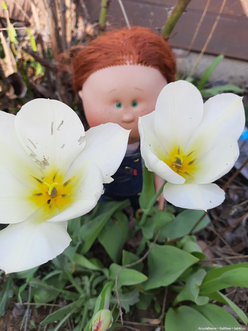 Выходной... если его можно так назвать☺ (фото 10)