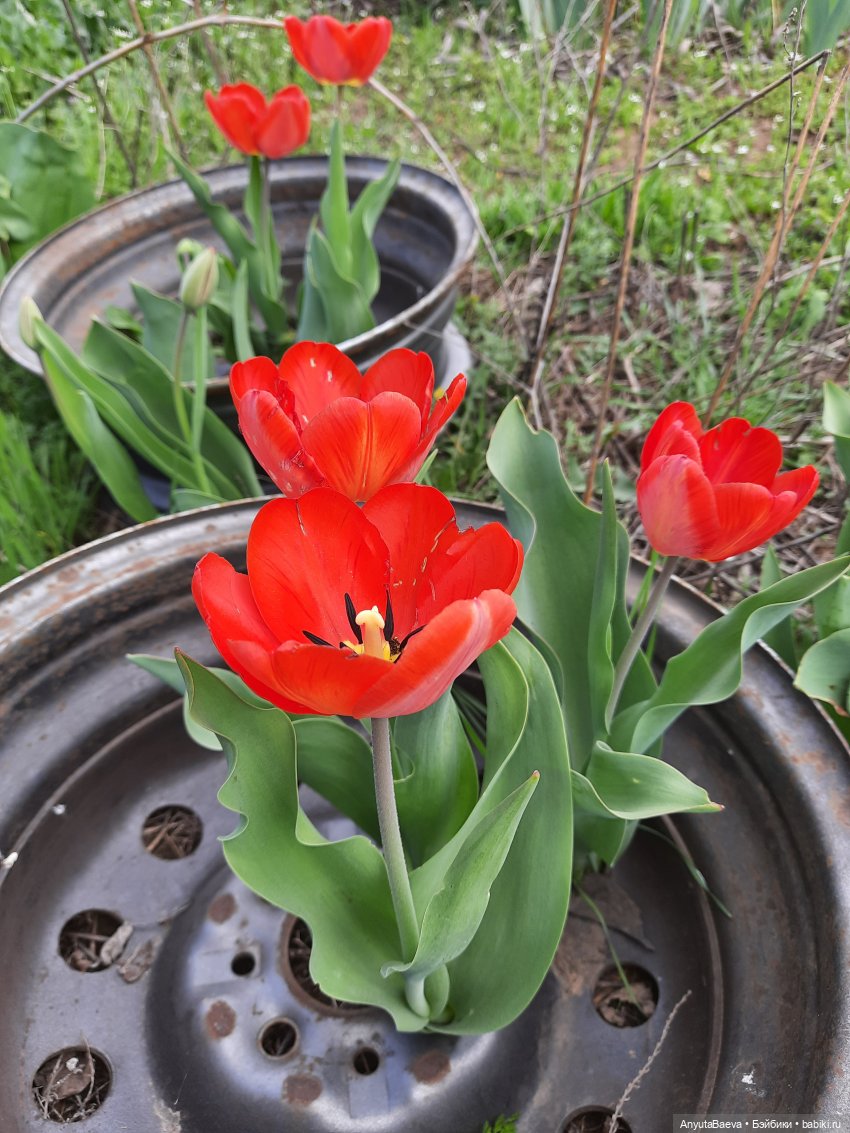 Выходной... если его можно так назвать☺ (фото 5)