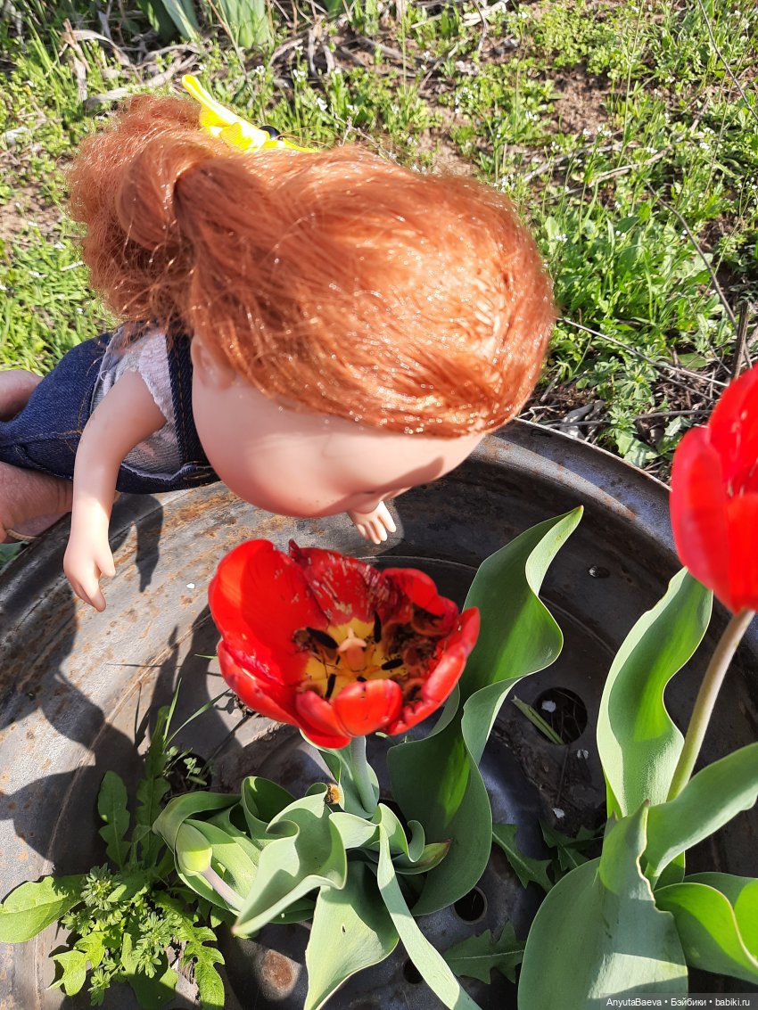 Выходной... если его можно так назвать☺ (фото 6)