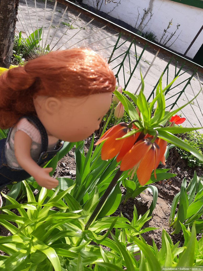 Выходной... если его можно так назвать☺