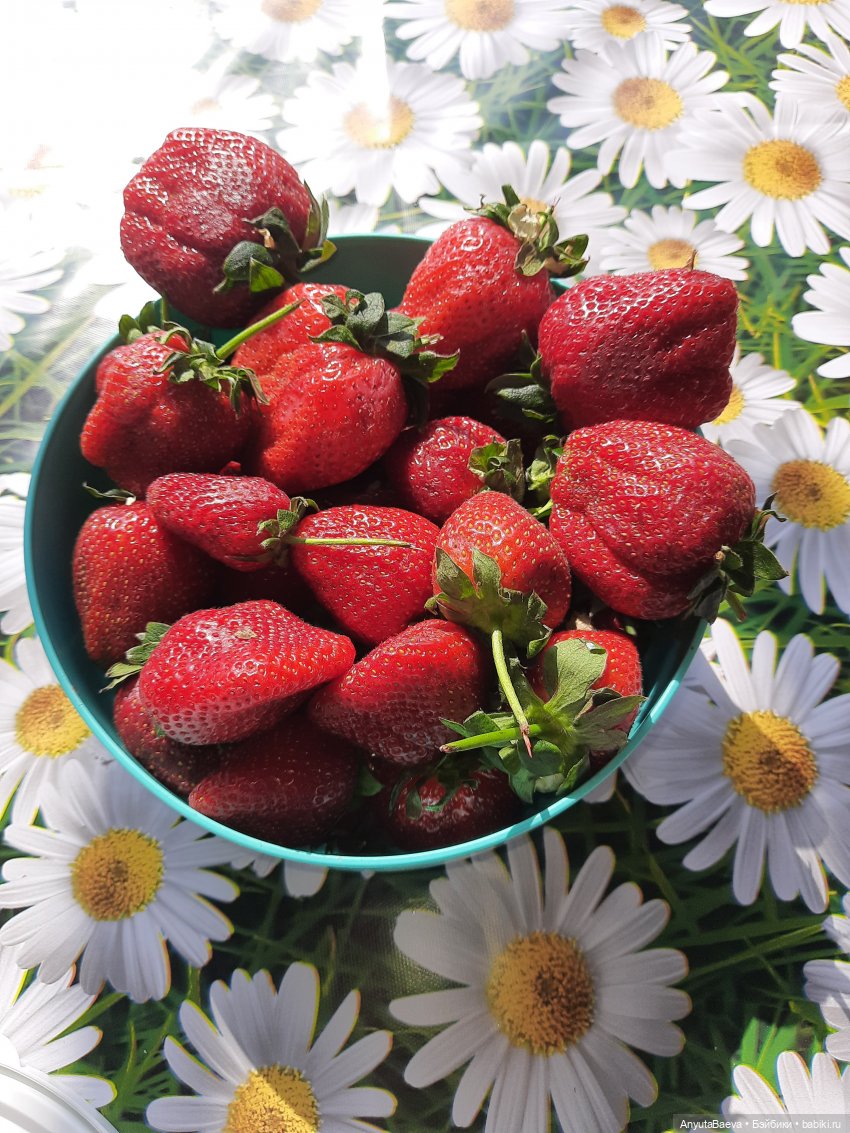 Выходной... если его можно так назвать☺