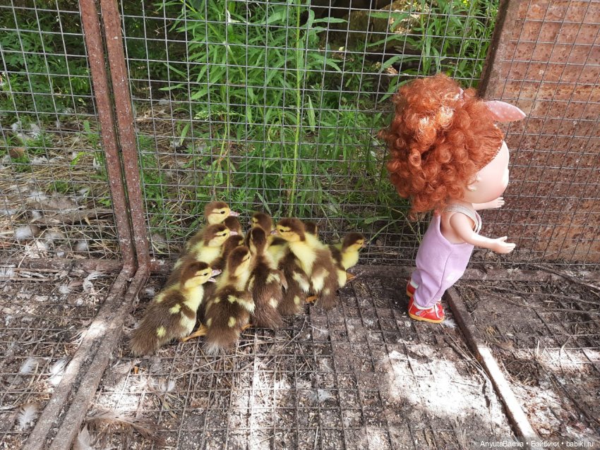 "Дети" под присмотром — Куклы Nines d'Onil (Нинес): Миа (Mia) (фото 4)