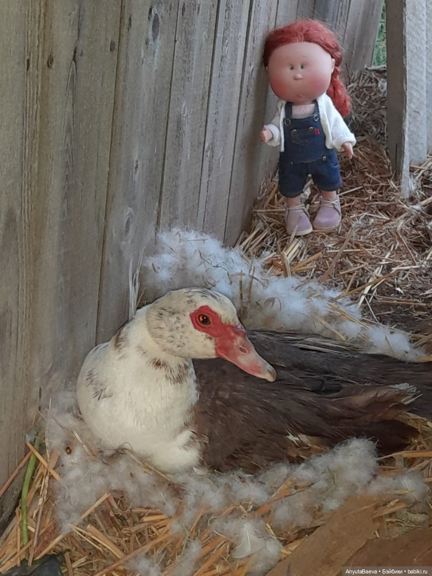 "Дети" без присмотра — Куклы Nines d'Onil (Нинес): Миа (Mia) (фото 7)