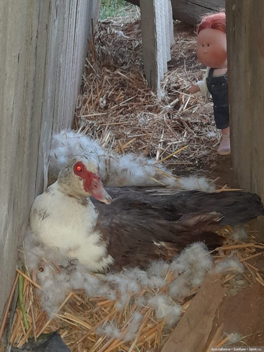 "Дети" без присмотра — Куклы Nines d'Onil (Нинес): Миа (Mia) (фото 6)