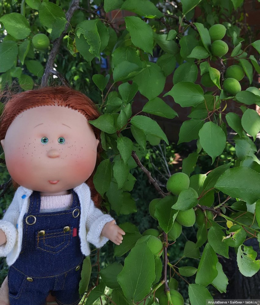 А Вы любите зелёные абрикосы