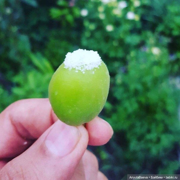 А Вы любите зелёные абрикосы (фото 5)