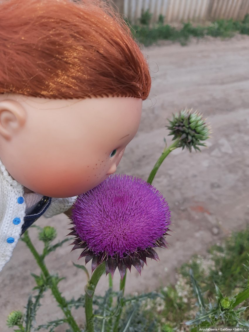 А мы нашли колючку😁 — Куклы Nines d'Onil (Нинес): Миа (Mia) (фото 10)